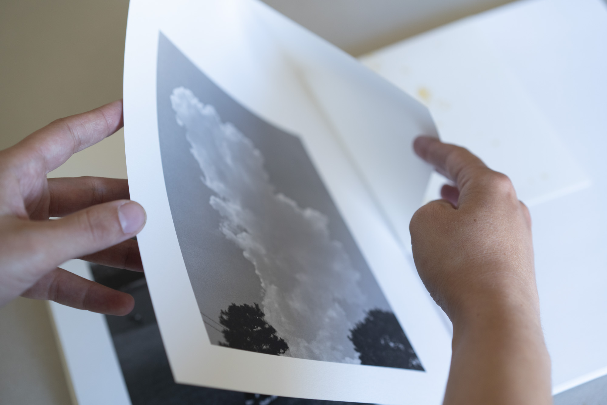 The Okama Paradox - Imagen 3