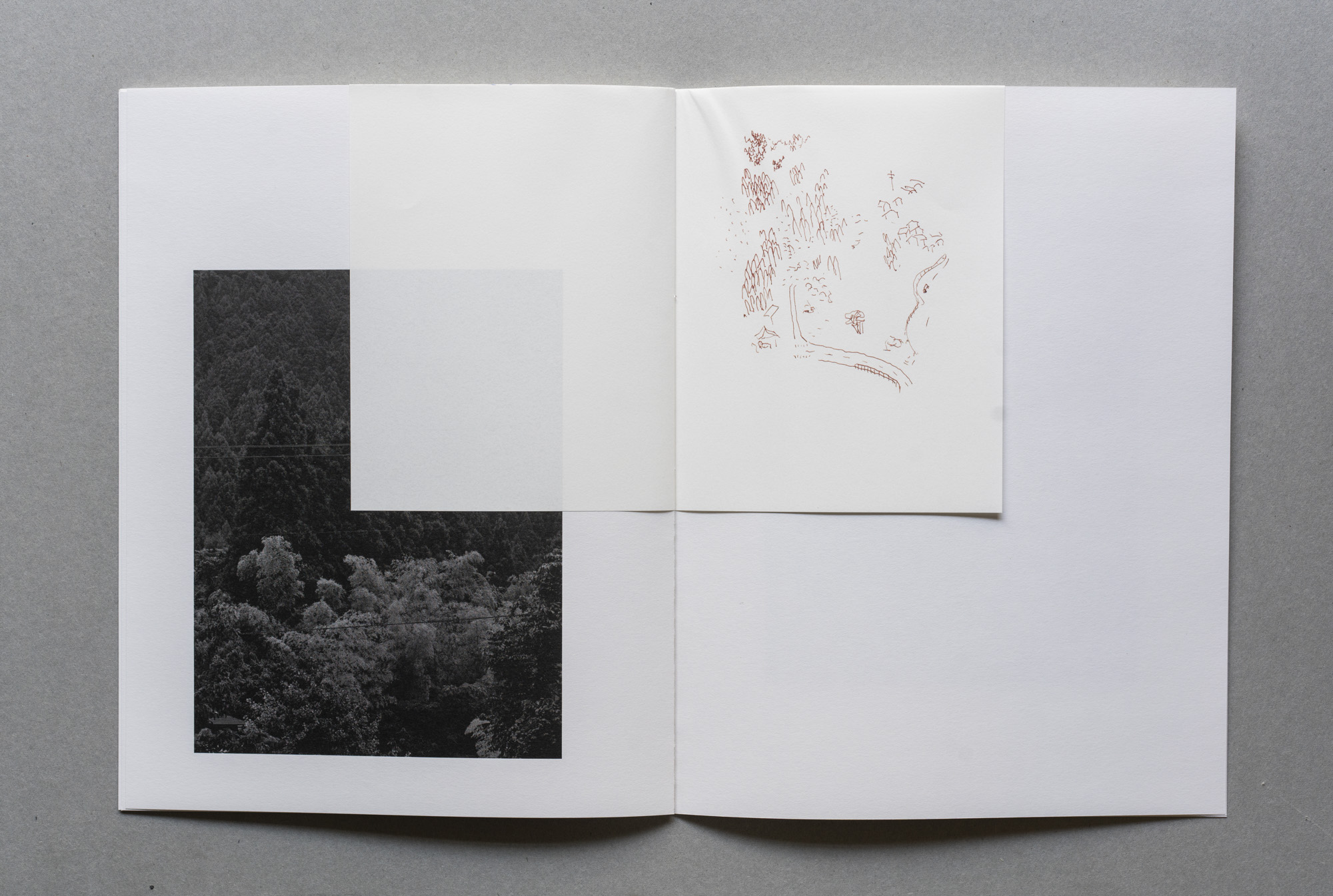 The Okama Paradox - Imagen 5