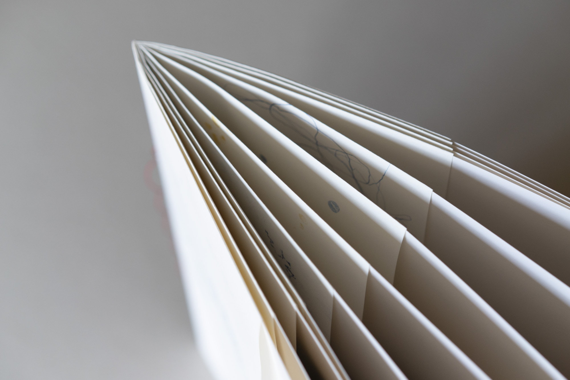 The Okama Paradox - Imagen 9